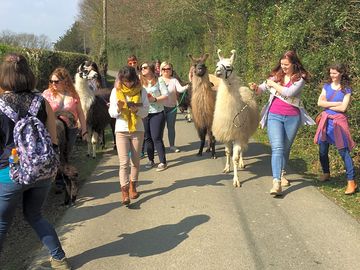 Llama trekking available from march to october