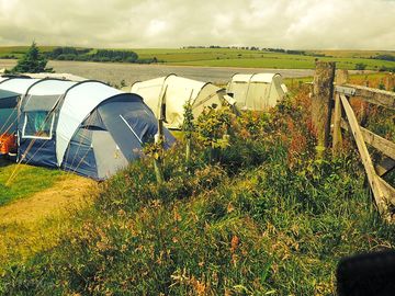 Spacious pitches