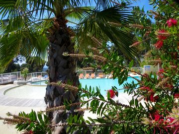 The swimming pool