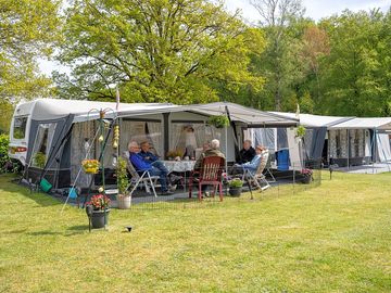 Grass pitches sheltered by trees