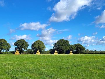 Well-spaced pods