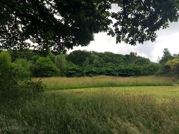 Camping meadow