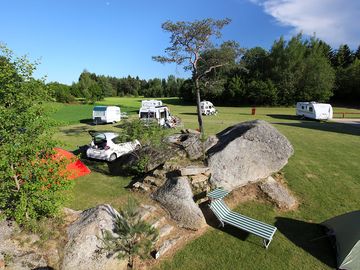 Tree-lined camping field