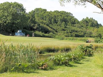 Pitch by the dog exercise area