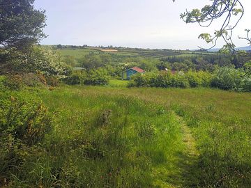 Communal area through the meadow