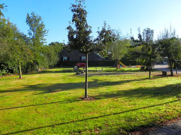 Fruit trees, pétanque court and play area