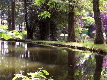 Surroundings