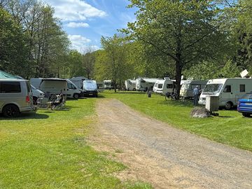 View of the site