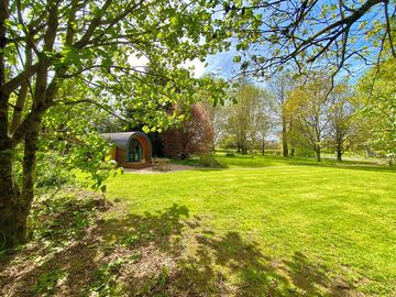 Garden area