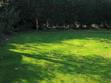 Comfy grassy pitch