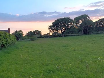 Camping pitches at Tyn-y-Cae