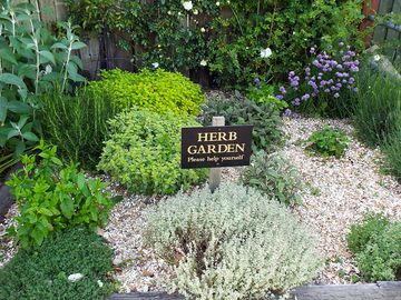 Please help yourself to the herb garden for your barbecues