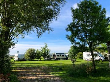 Site view