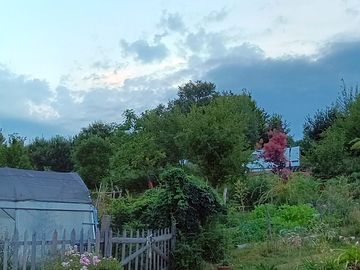 Private spot on a slope above our garden