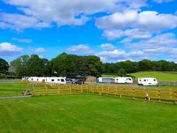 Lots of space on the flat, well-drained site