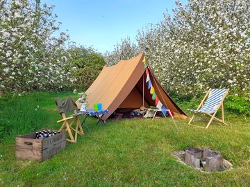 Grass tent pitch among the trees