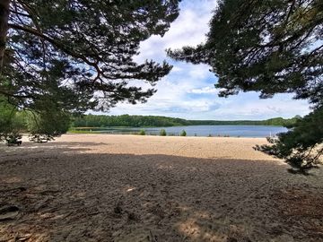 Großsee