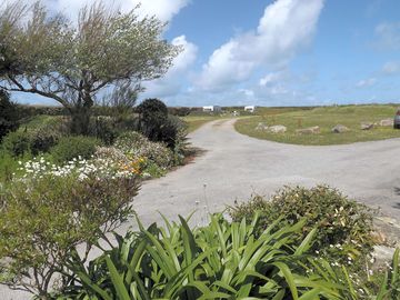 Paved path through the site