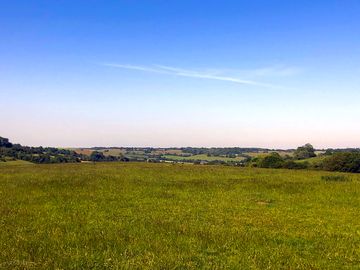 A summer day at hawthorne