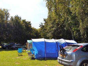 The site