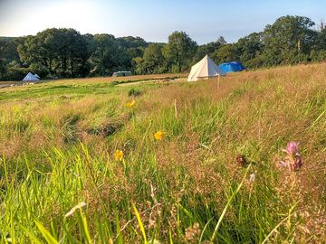 Old Hay Meadow pitches