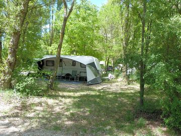 Spacious pitches among the trees