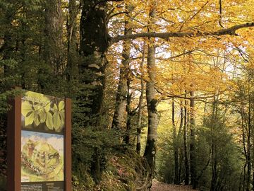 Valle de ordesa