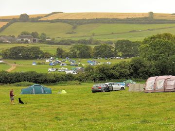 View across the dog-friendly pitches