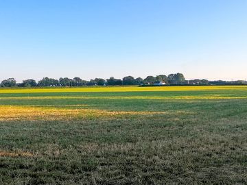10-acre grounds