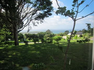 Surrounded by nature