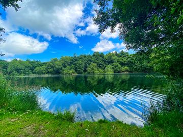 Lake view