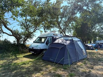 Pitches under the trees