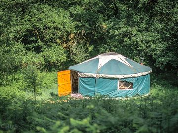 Yurt hidden away among the trees