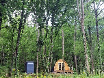 Pod in the woods