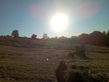 The hay field as the sun sets