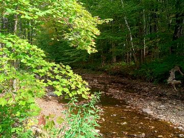 Access to the stream