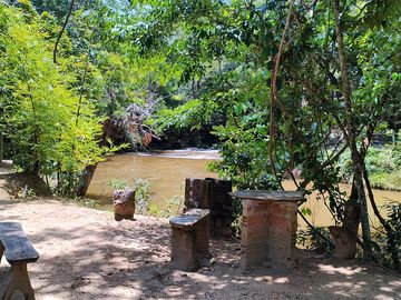 View over the river
