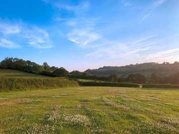 View over the grassy pitches