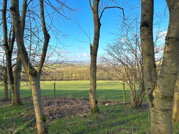 The view from the top of rye close