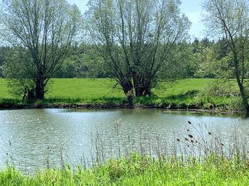 Grass pitch and fishing lake