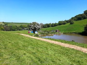 Camping field