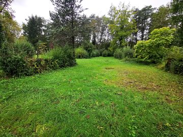 Pitching space among the mature trees