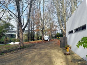 Spacious pitches among the trees