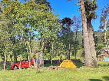 Grass pitches