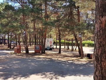 The campsite with tree-shaded pitches