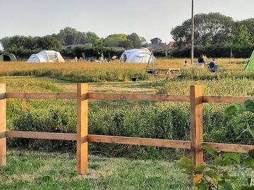 View from the car park across the site