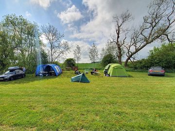 Visitor image of the spacious pitches