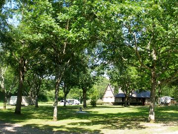 Pitches under the trees