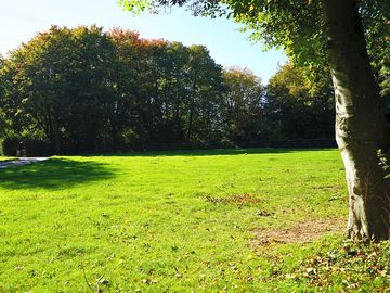 Non-electric grass pitches