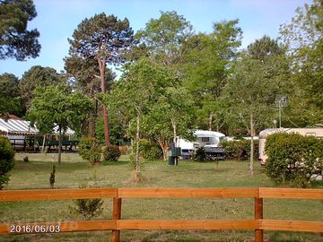 General site view